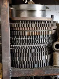 Tabuka kg or Dashali kg