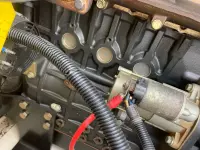 Japanese kaput