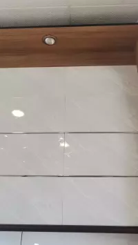 Ceramic