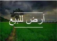 Land for sale near Qasr Al Hayat in Karada
