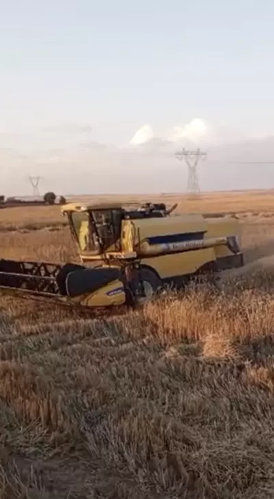combine harvesters