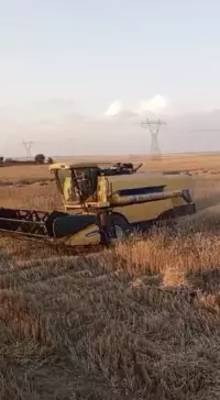 combine harvesters