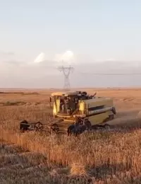 combine harvesters