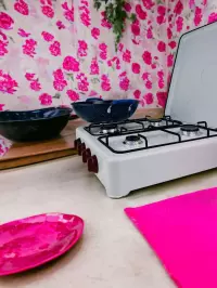 Gas oven