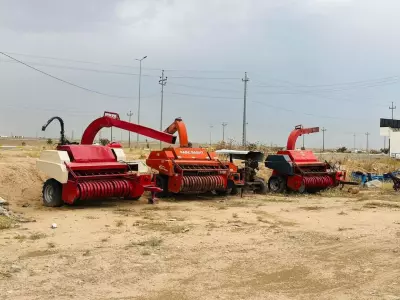 feed chopping machine