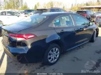 corolla car