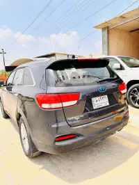 Kia Sorento for sale