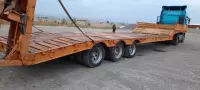 arabana