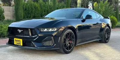 Sale of Ford Mustang
