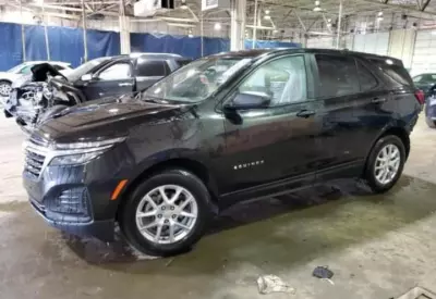 Ekinoks car for sale