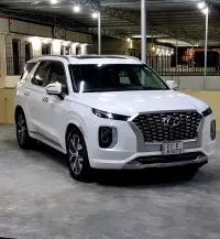 Hyundai palisade car for sale
