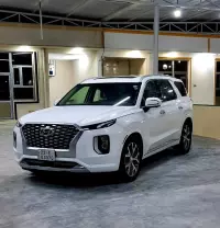 Hyundai palisade car for sale