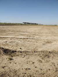 piece of land