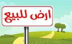 land for sale