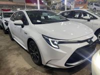 Corolla car for sale