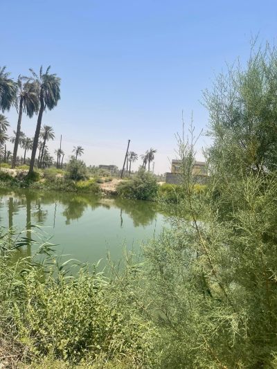 Two and a half acres for sale