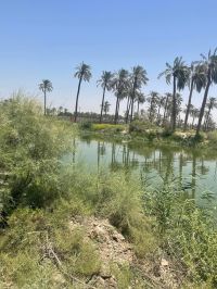 Two and a half acres for sale