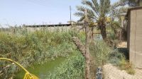 Orchard with house for sale