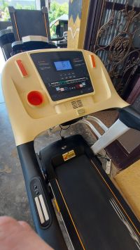 Electric Treadmill