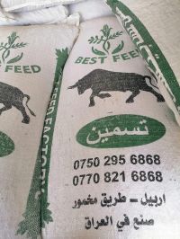 feed