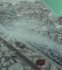 carpet washing service