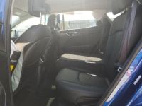 Kia Sportage car