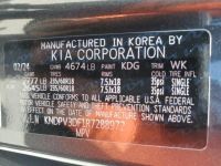 Kia Sportage car
