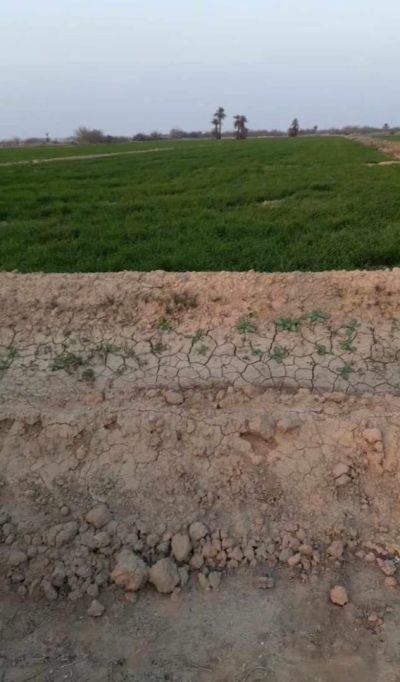 Land for sale
