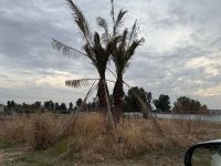 Farm For Sale