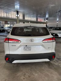 Crossover Hybrid Car