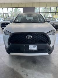 Crossover Hybrid Car