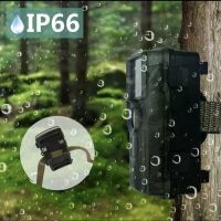 LASERSHOT PR5000 WiFi 4K Gece Görüşlü Kızılötesi Avcılık Kamerası 80MP Avcılık Parkuru