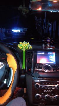 ئۆتۆمبێل بۆ فرۆشتن