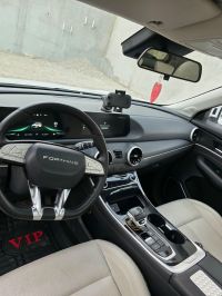Dfm forthing t5 evo 2024