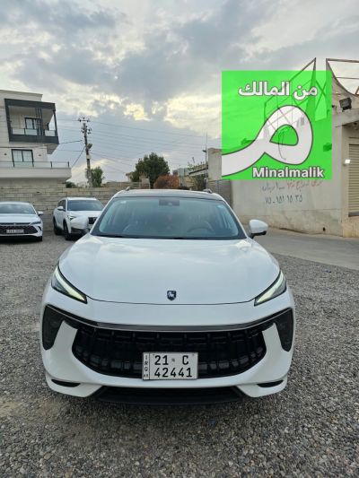 Dfm forthing t5 evo 2024