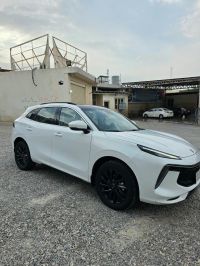 Dfm forthing t5 evo 2024