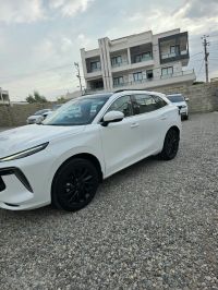 Dfm forthing t5 evo 2024
